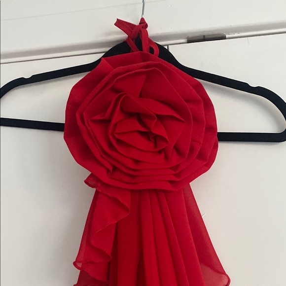 Red Flower Rose Rosette Halter High Low Chiffon Dress - Picture 5 of 6